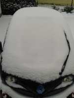 <p><br mce_bogus="1"></p>