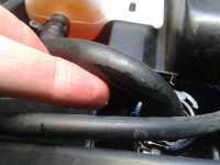 <p><br mce_bogus="1"></p>