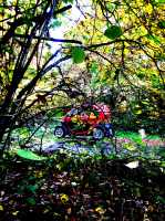 <p><br mce_bogus="1"></p>