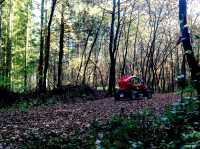 <p><br mce_bogus="1"></p>