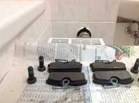 <p><br mce_bogus="1"></p>