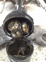 <p><br mce_bogus="1"></p>