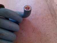 <p><br mce_bogus="1"></p>