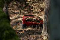 <p><br mce_bogus="1"></p>