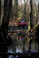 <p><br mce_bogus="1"></p>