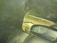 <p><br mce_bogus="1"></p>