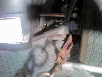 <p><br mce_bogus="1"></p>