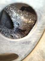 <p><br mce_bogus="1"></p>