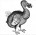 Dodos Avatar