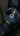 Megawatts Avatar